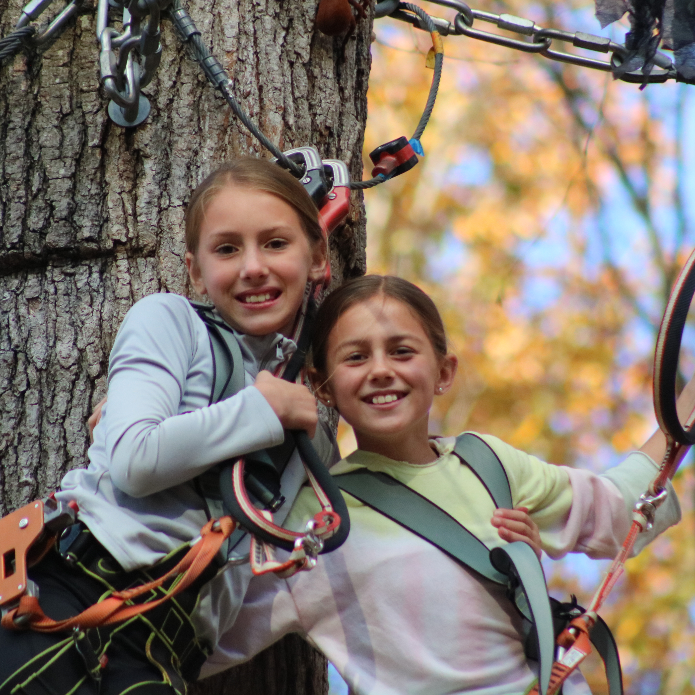Let's get together and celebrate Rosh Hashanah from the trees!
