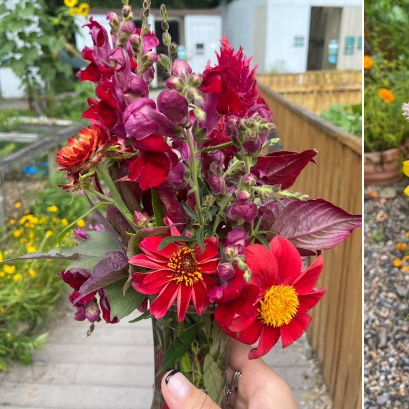 Bouquets at Earthplace