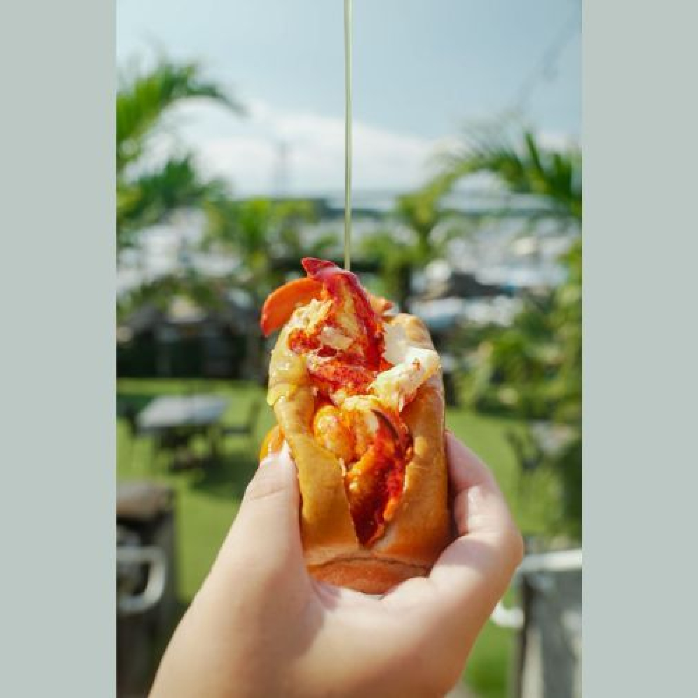 Get ready for the ultimate Dockside Summer Surf & Turf Bash!