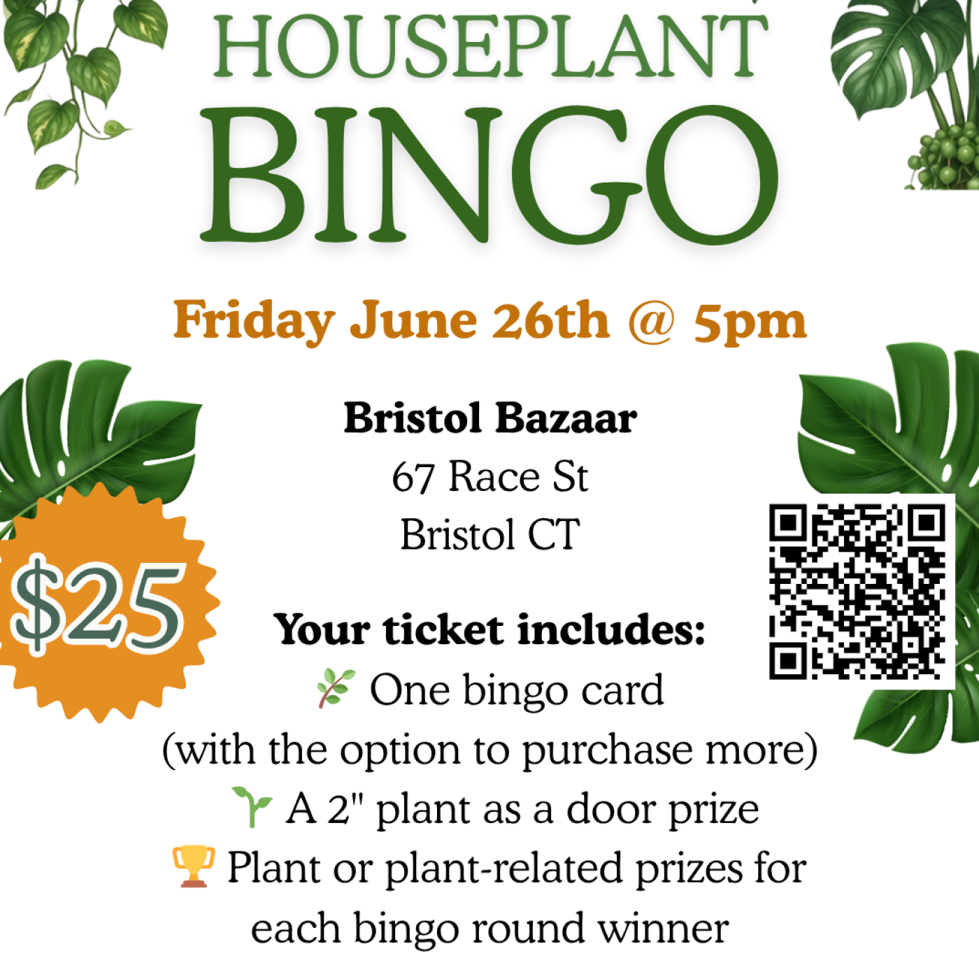 Houseplant Bingo
