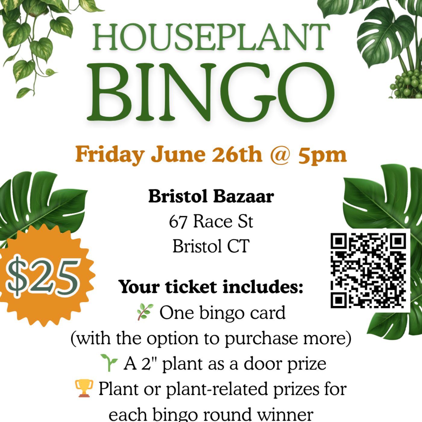 Houseplant Bingo