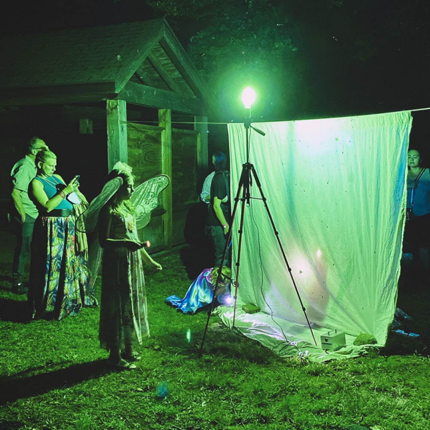 Moth Ball Lightsheeting Station
