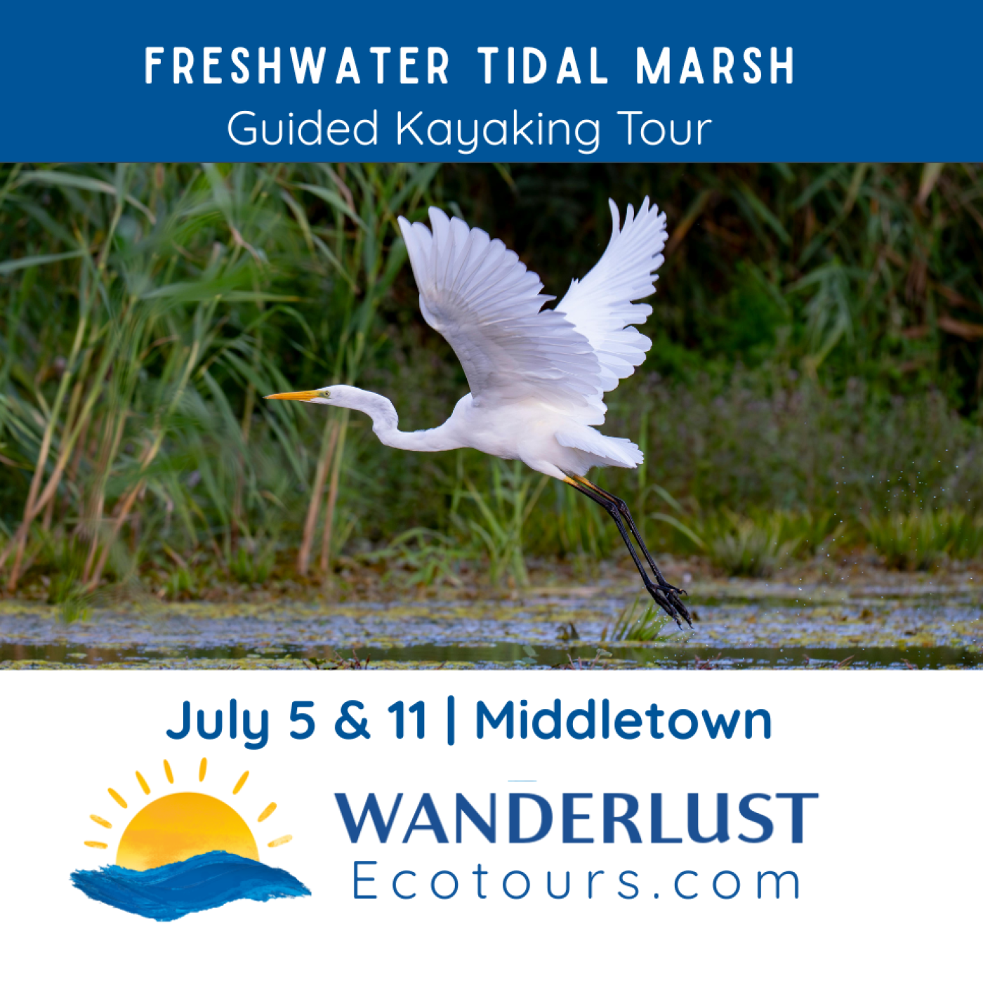 Guided Kayaking: Golden Hour in a Freshwater Tidal Marsh