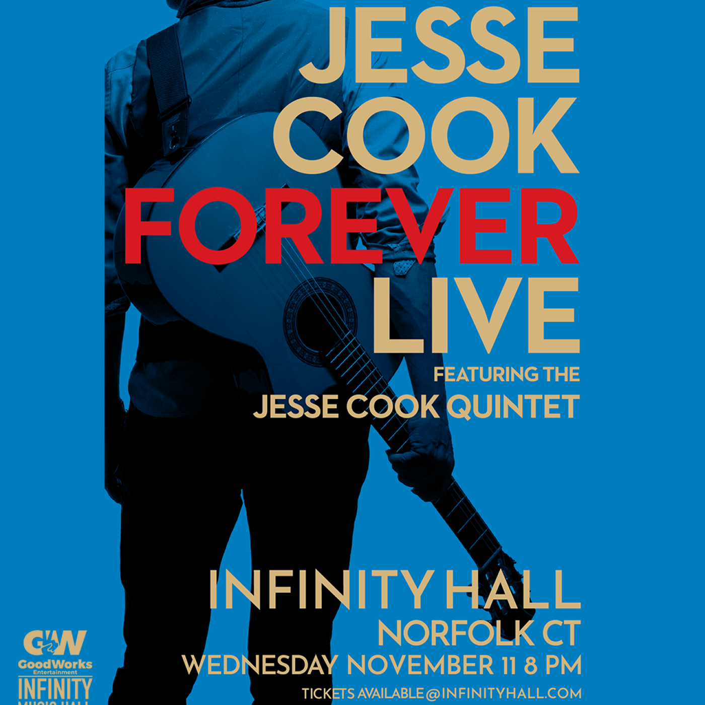 Jesse Cook