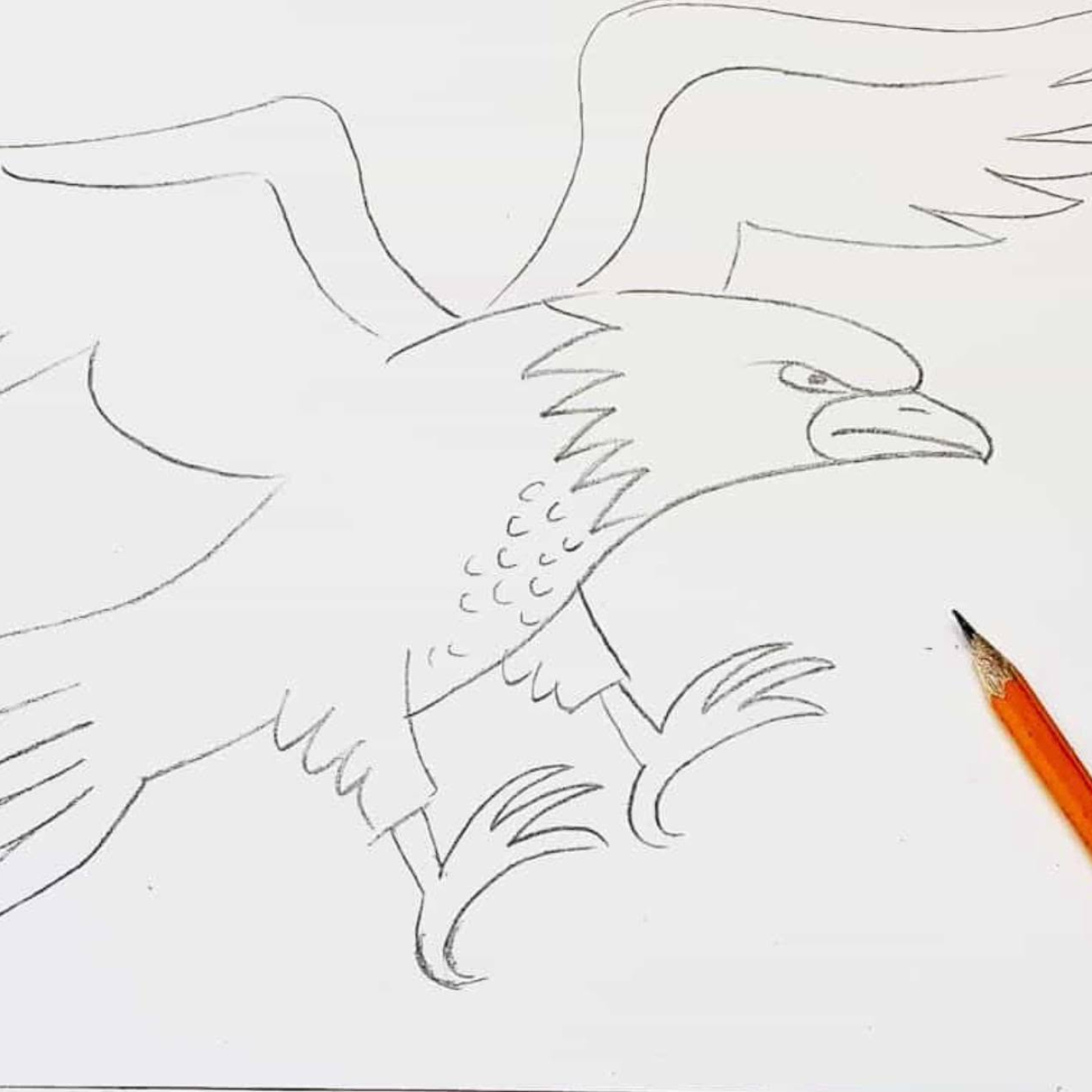 An illustration of an eagle being done with pencil. 