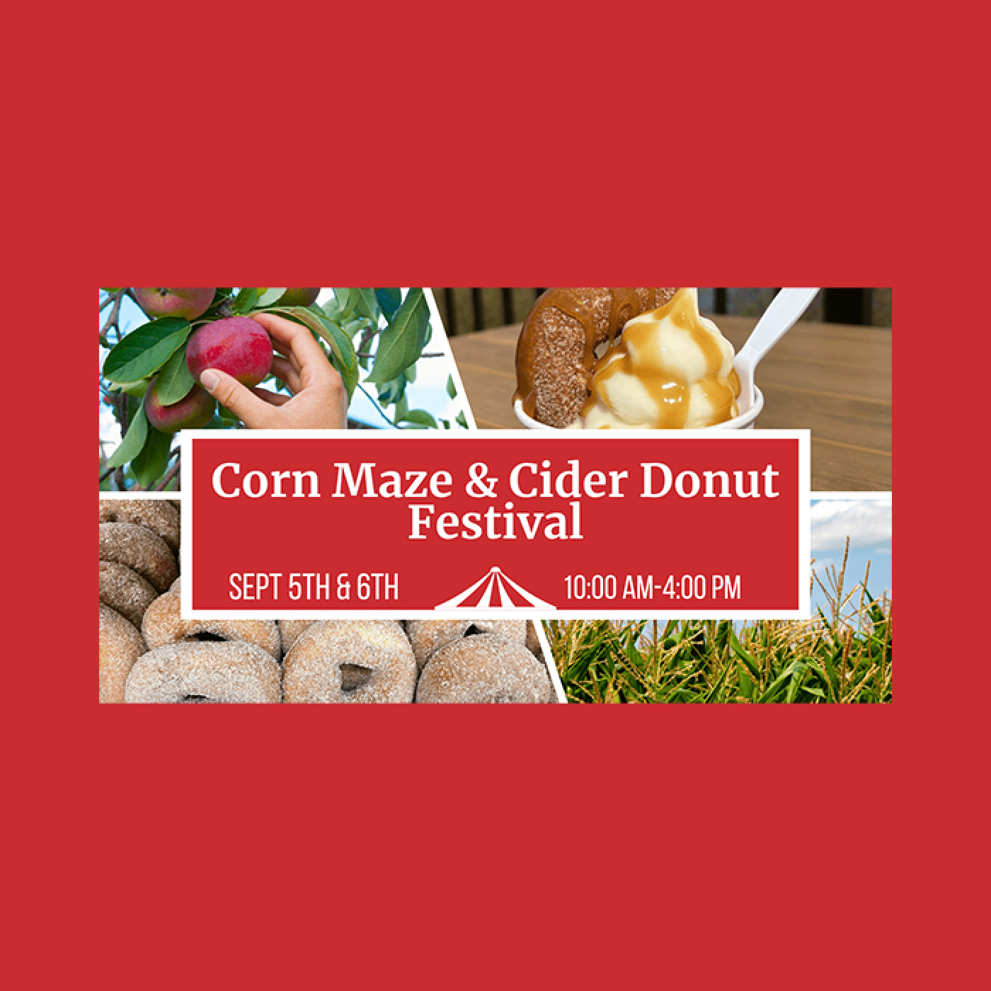 Corn Maze Festival 