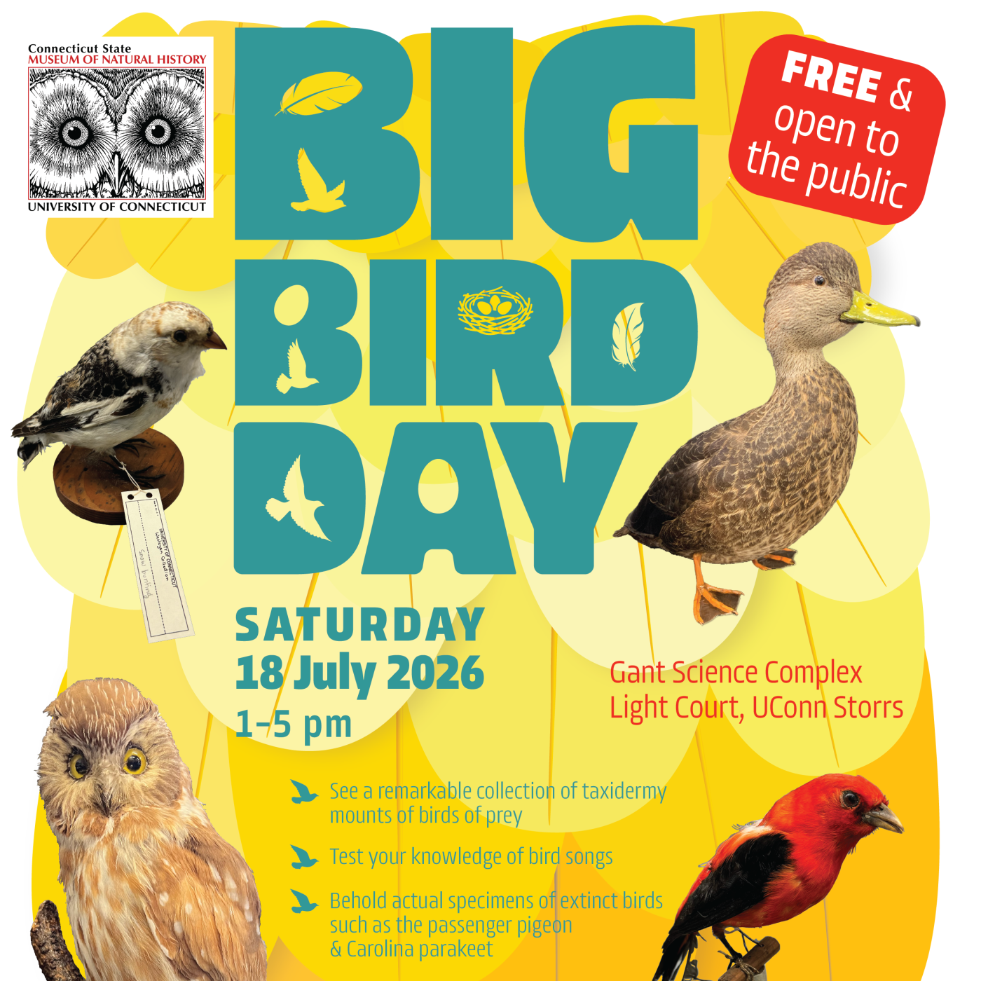 flyer for event including image of various birds and information about event