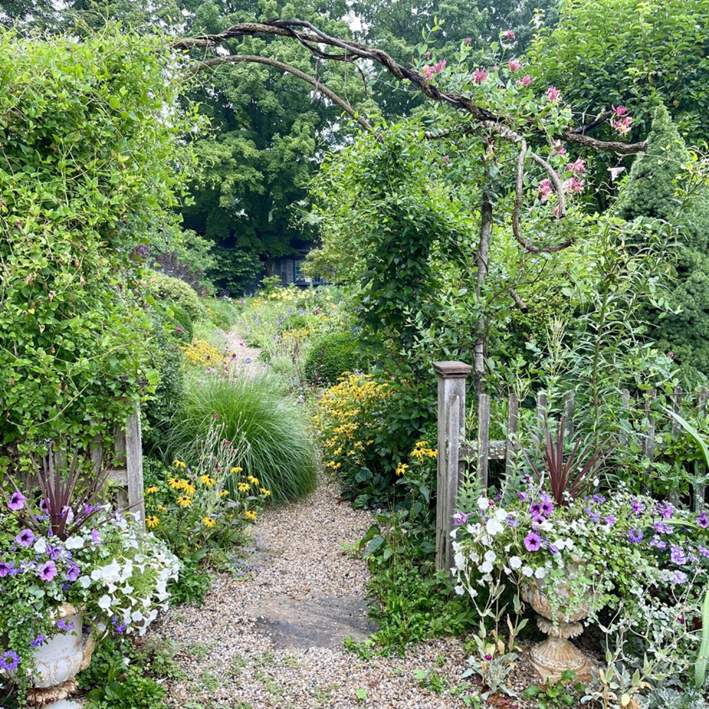 Exuberant Plantings in a Village Garden