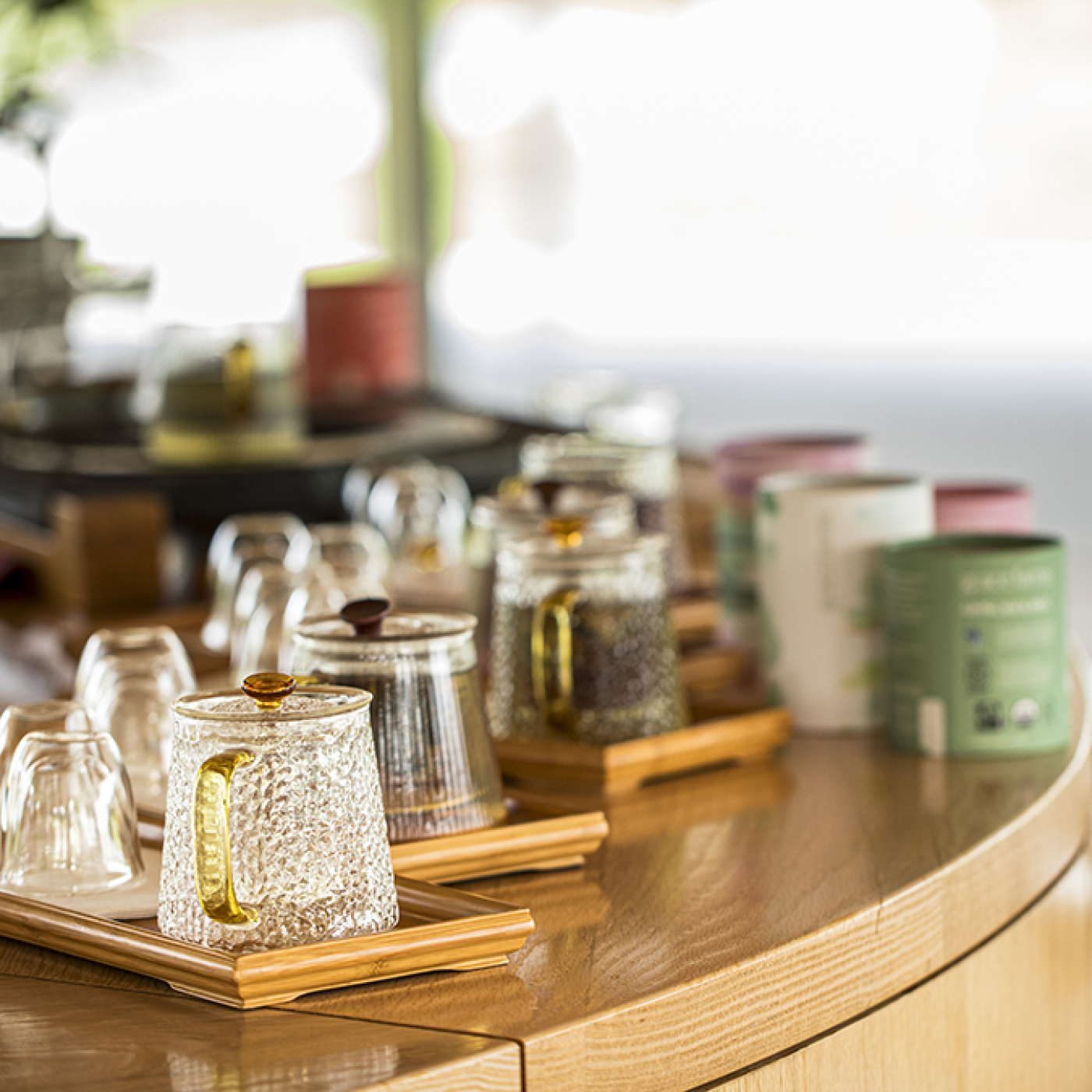 Journey Into the World of Tea