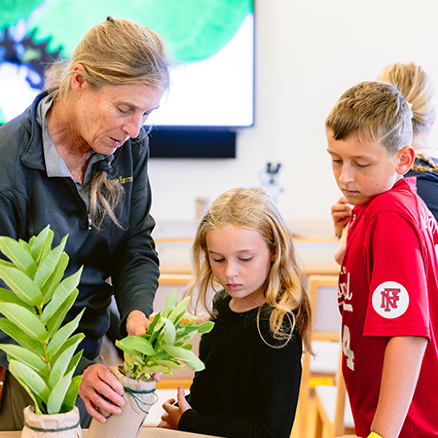 Nature Studio for Children