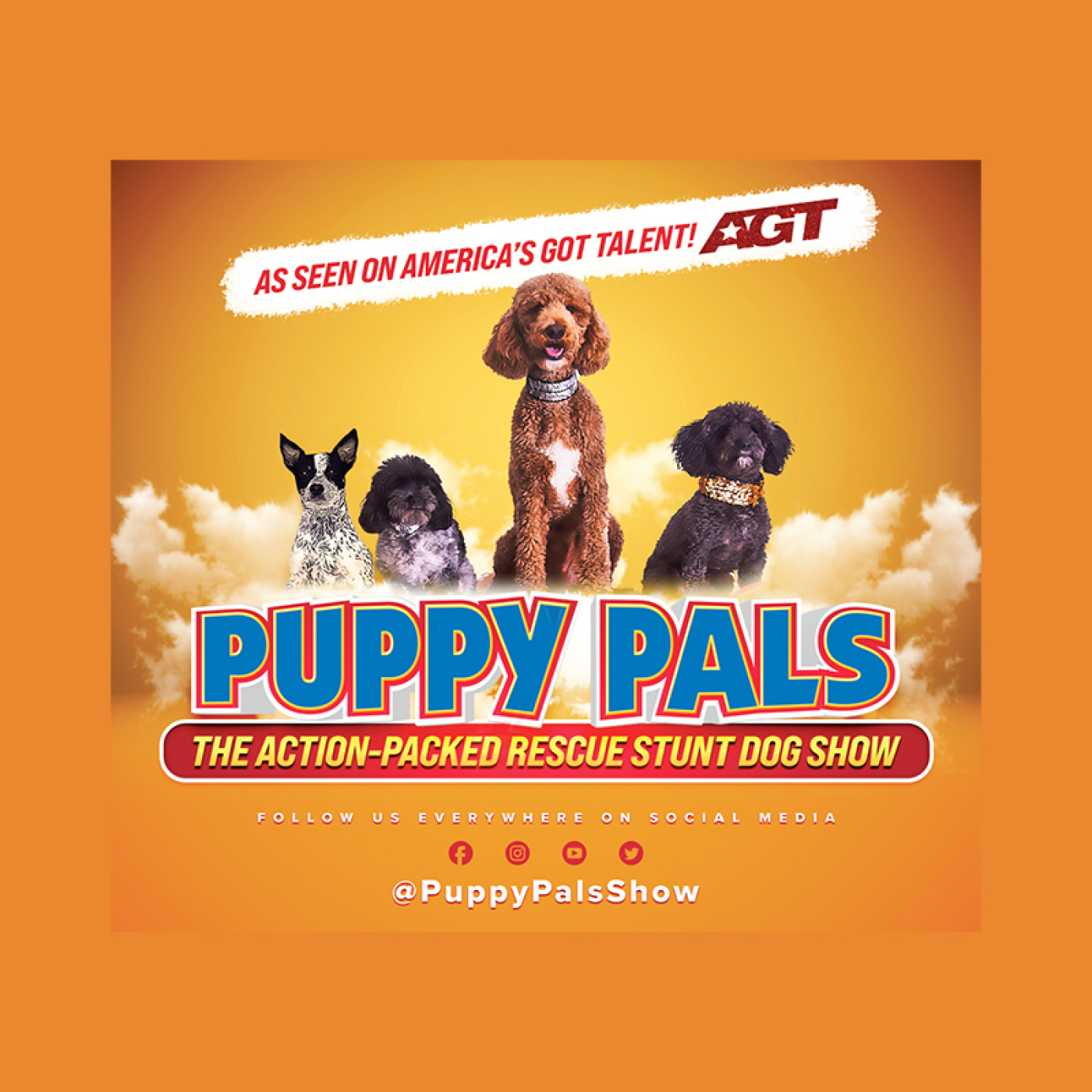 Action Packed Comedic Stunt Dog Show