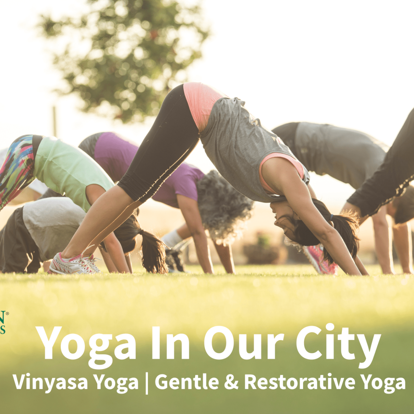 Yoga in Our City