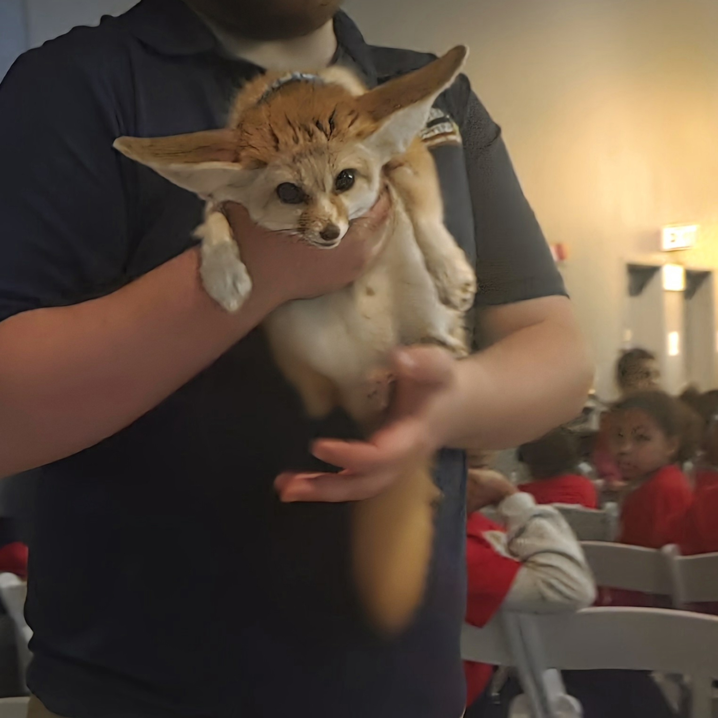 Wildlife Encounters