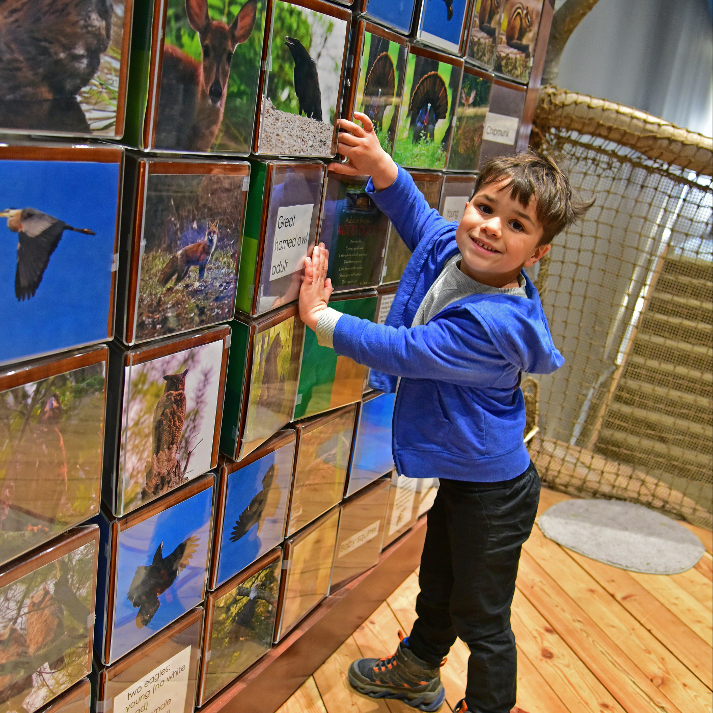 Literacy Tree House