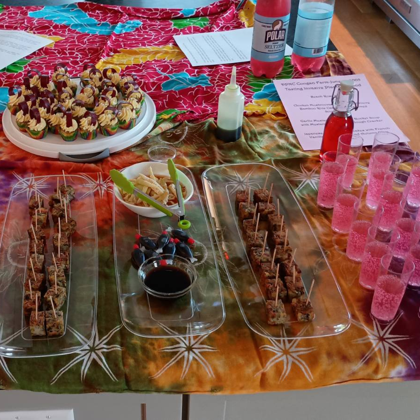 A great spread of food and drinks made out of invasives, made during the Eat Your Invasives cooking class.