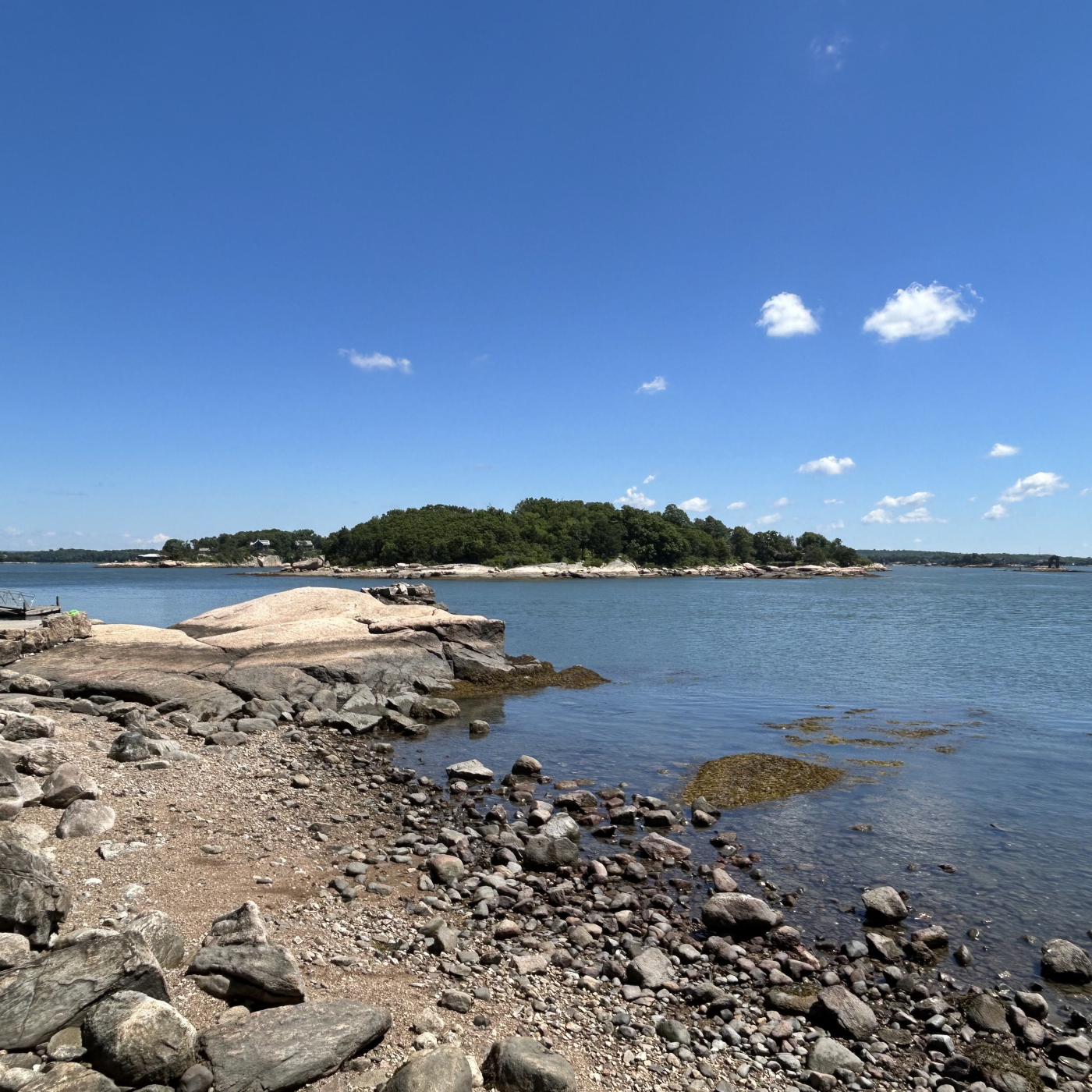Guided Kayaking Birding Tour of the Thimble Islands