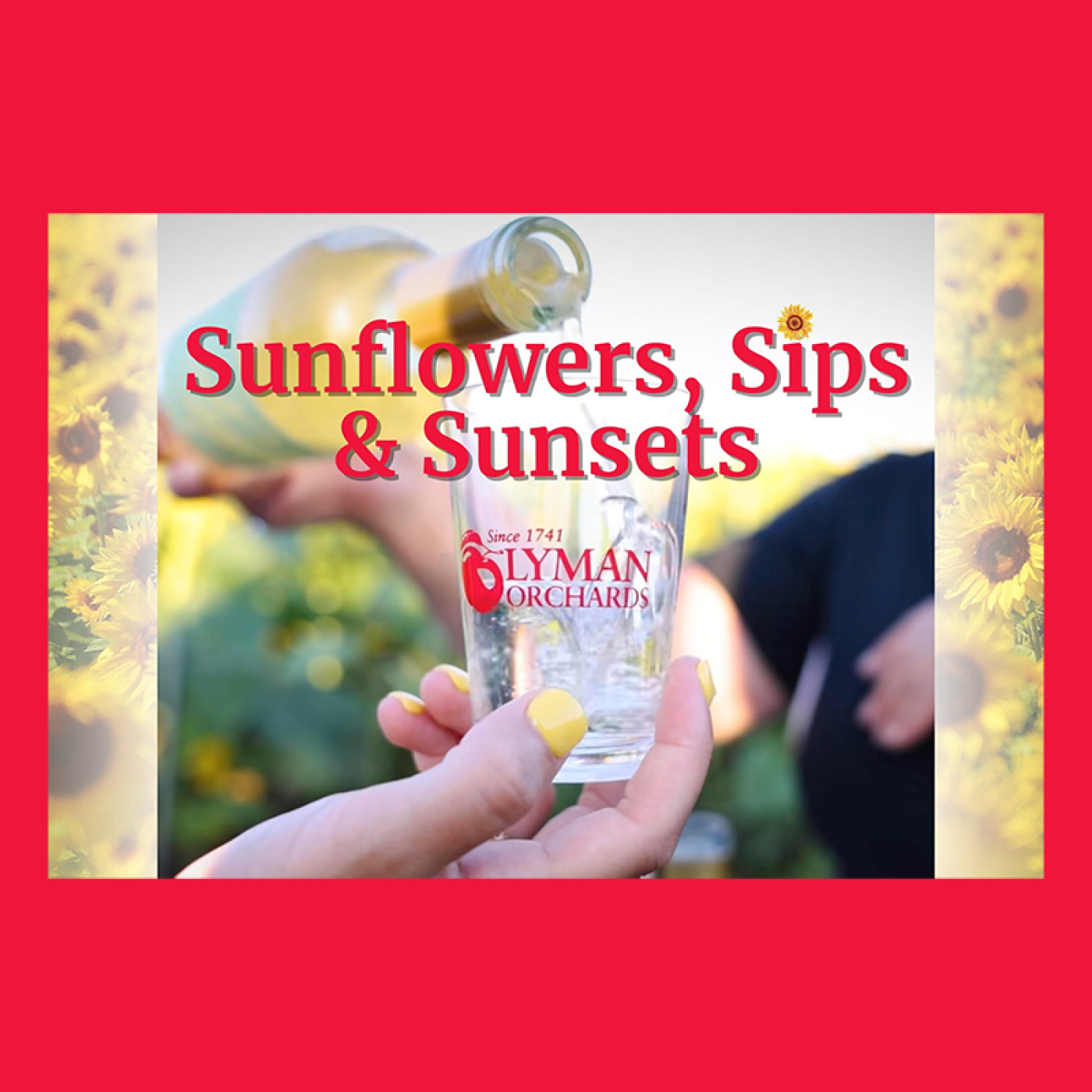 Sunflowers, Sips & Sunsets at Lyman Orchard