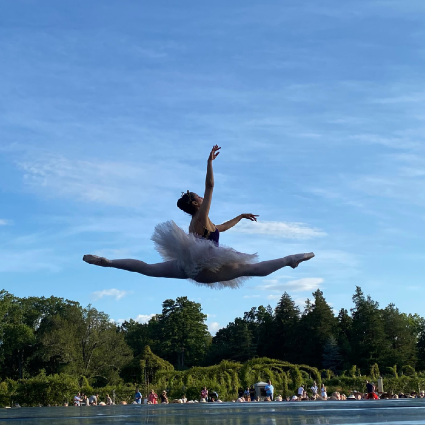 Connecticut Ballet