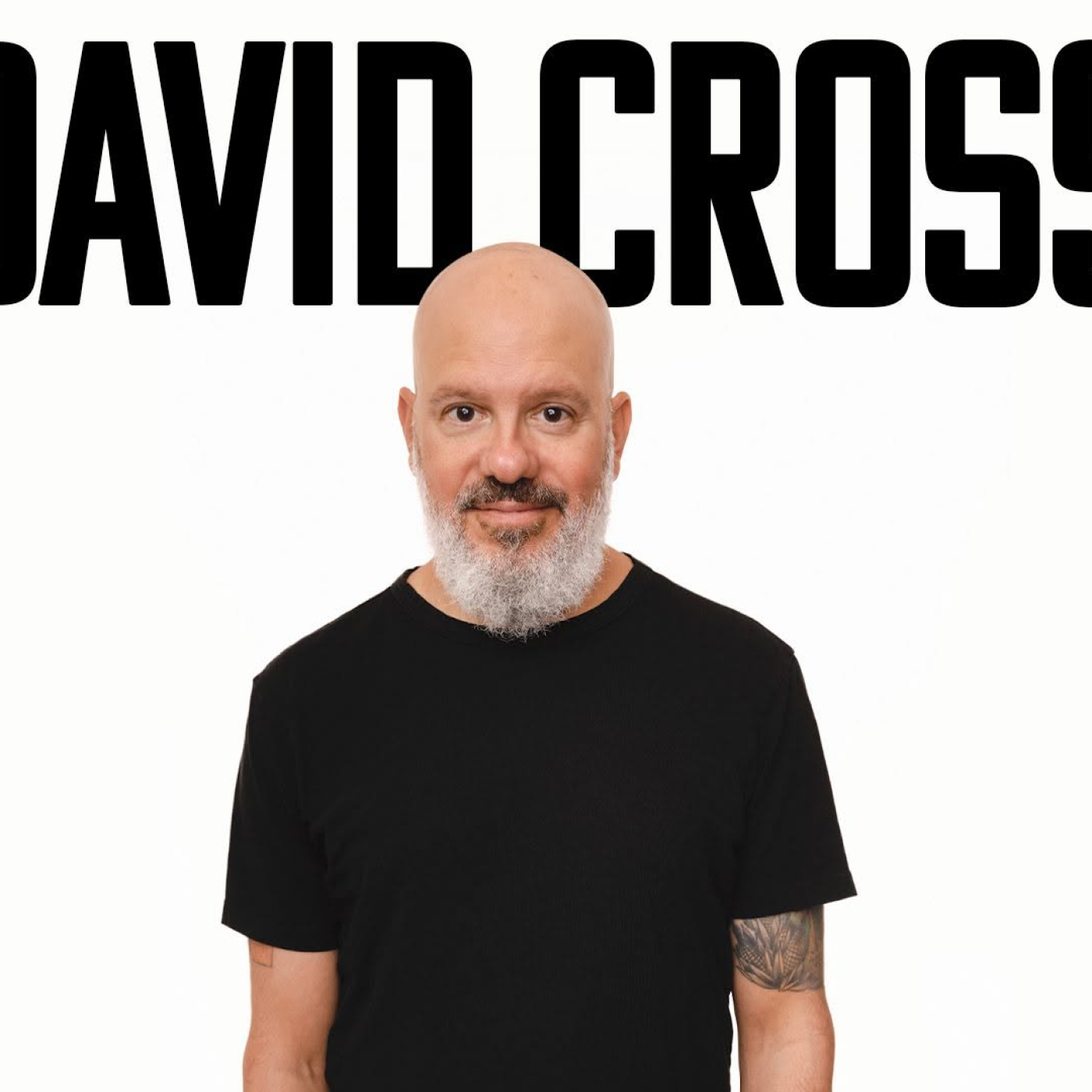 David Cross