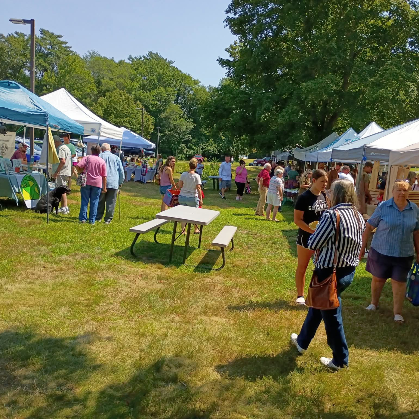 Vendor tents and market guests at the Voluntown Farmers Market. 