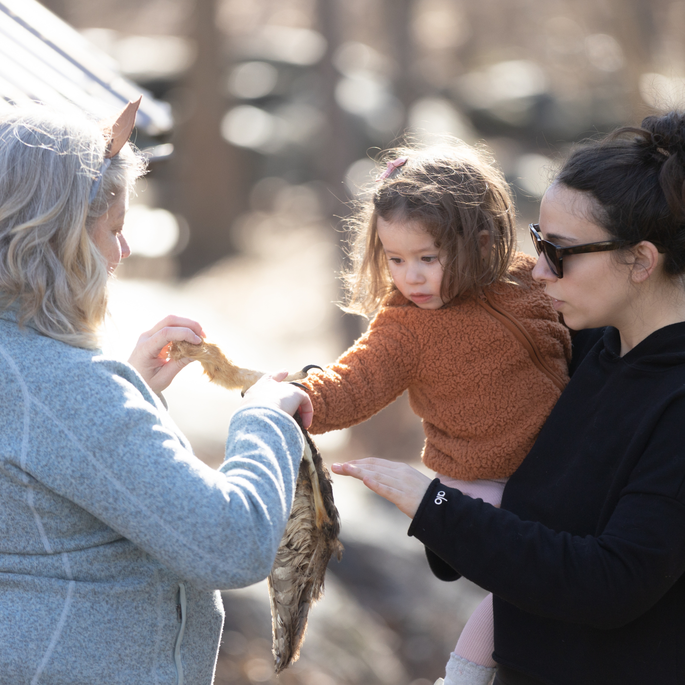 An educator shows an animal skin to a child and their caregiver.
