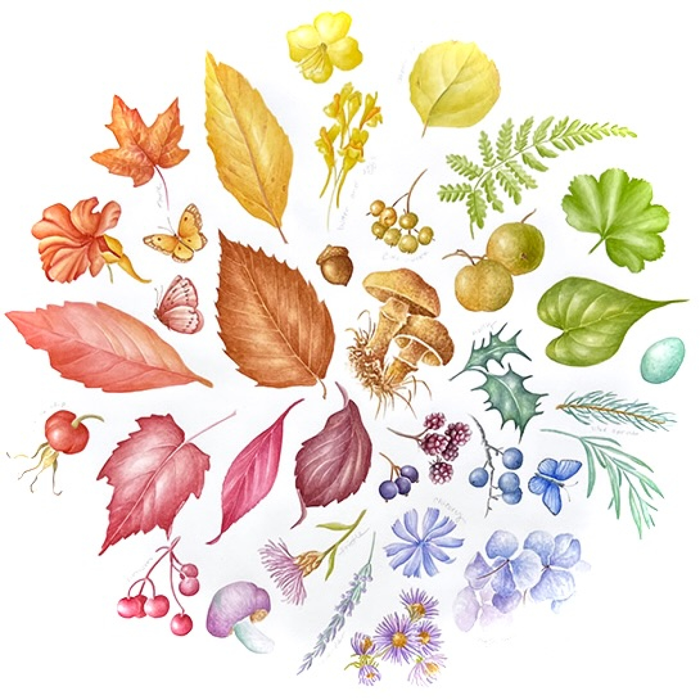 A color wheel full of leaves