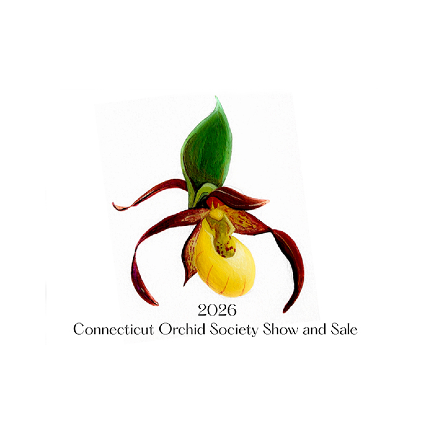 CT Orchid Society's Orchid Harvest Show and Sale