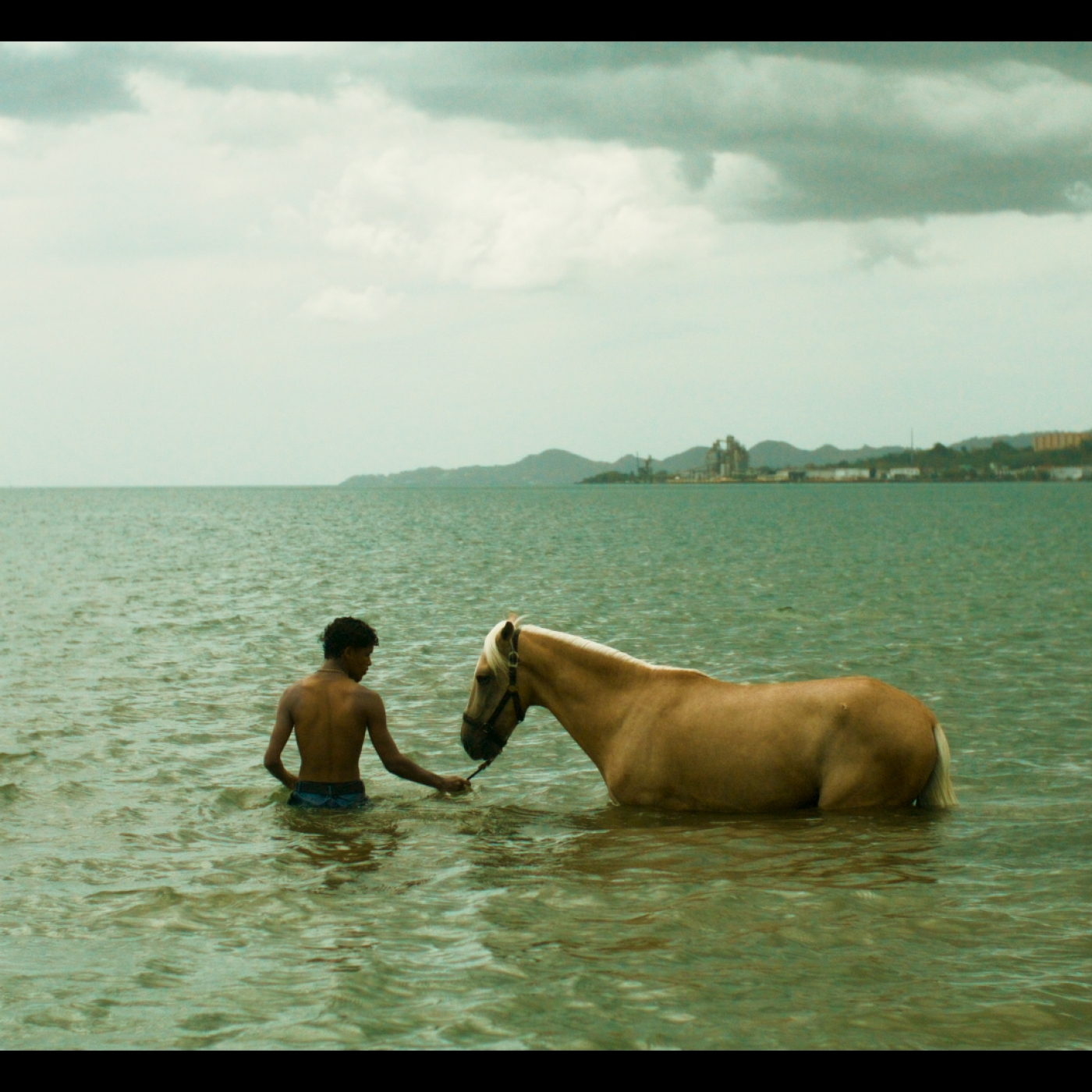 Esta Isla