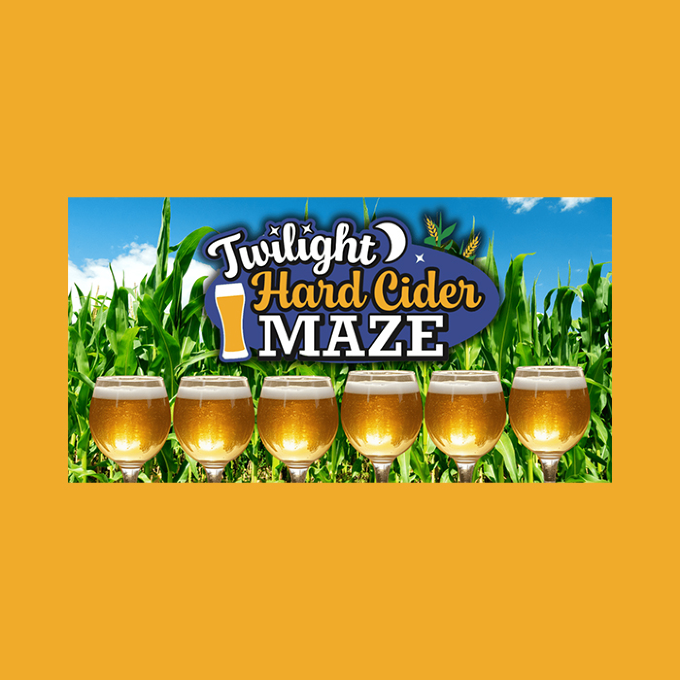 Twilight Hard Cider Maze