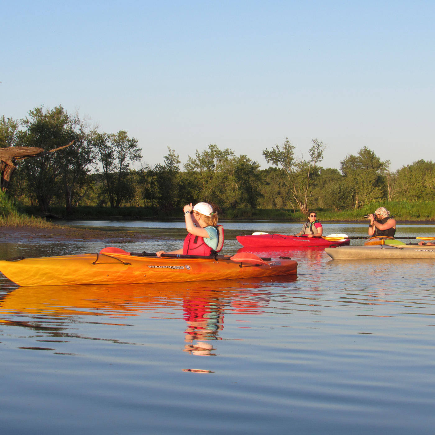 Guided Kayaking Tour of Cromwell Meadows Wildlife Management Area in Middletown