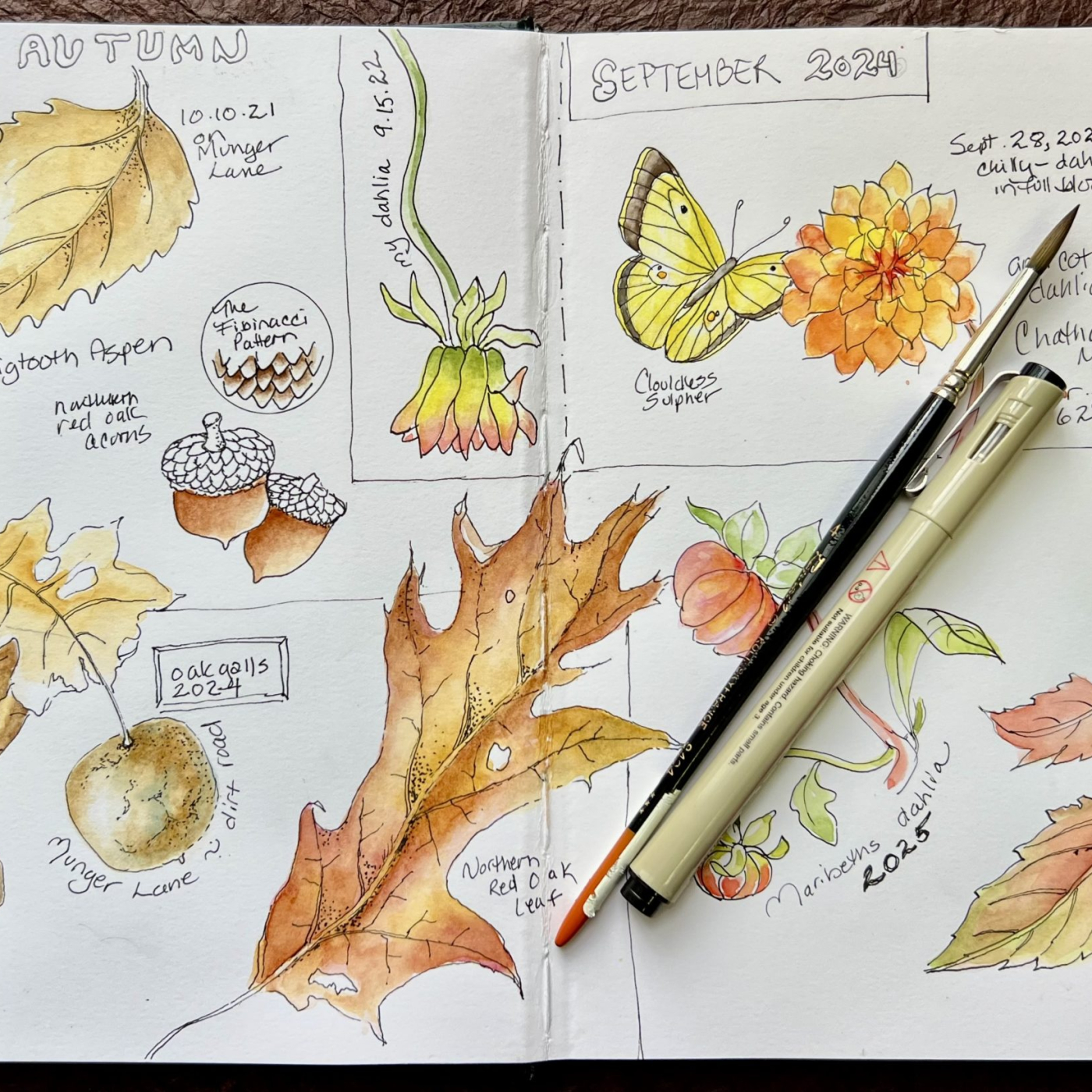A watercolor journal filled with fall paintings.