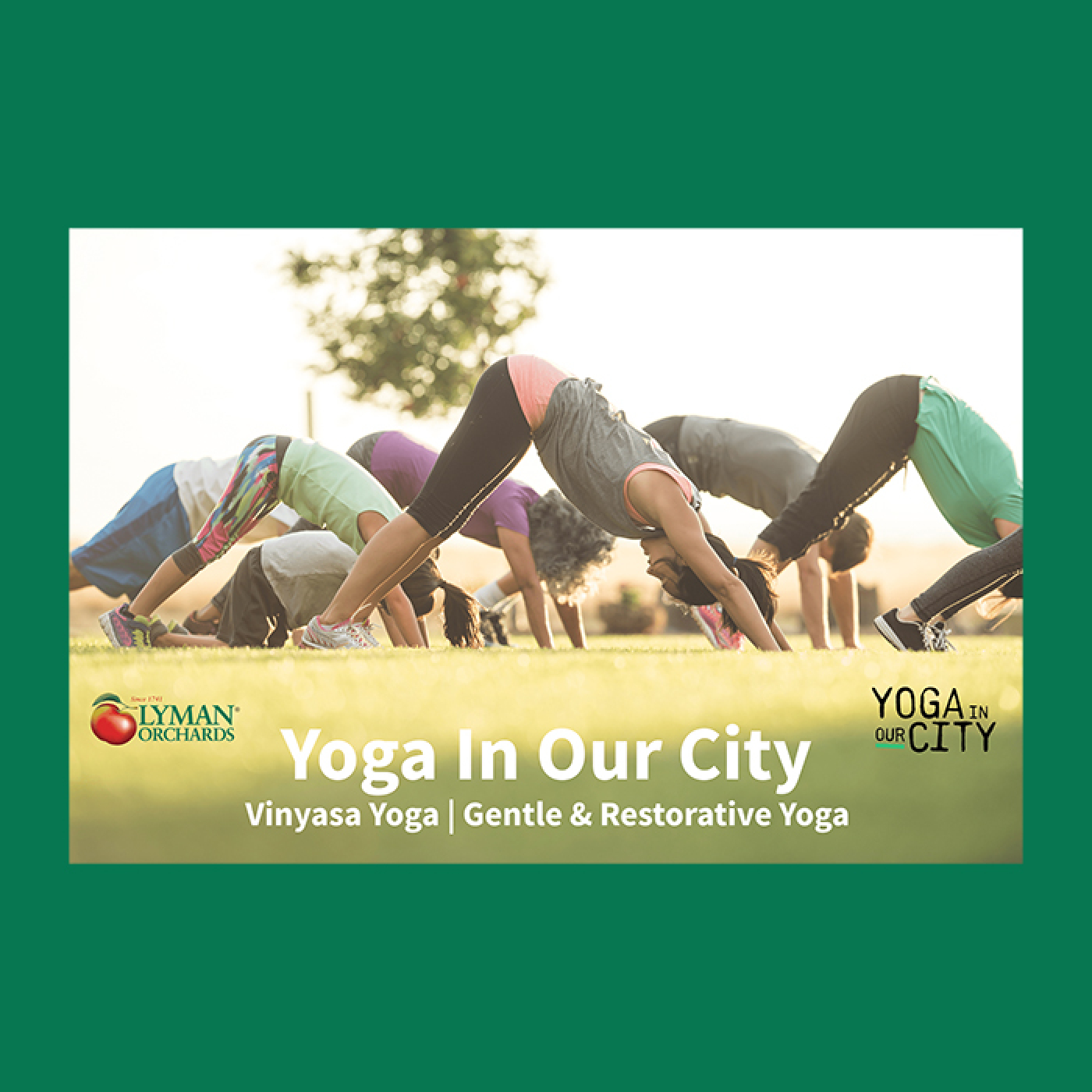 Yoga in Our City