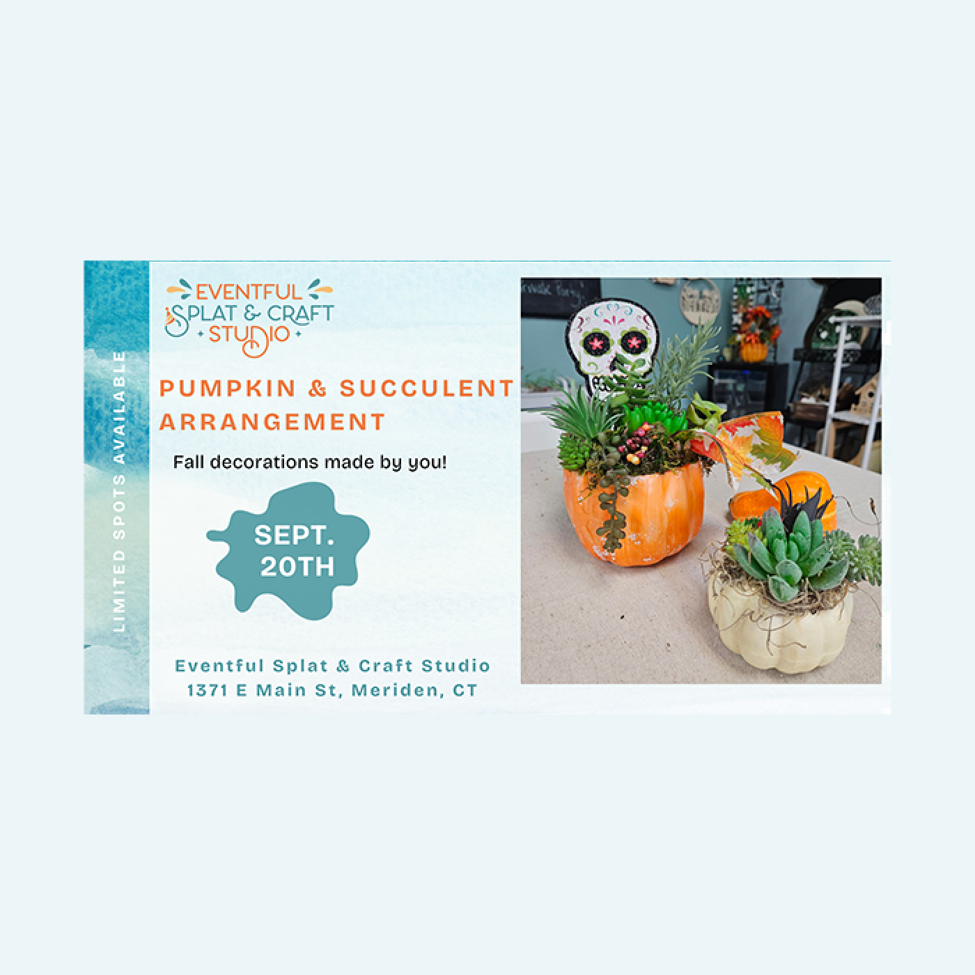 Real or Artifical plants