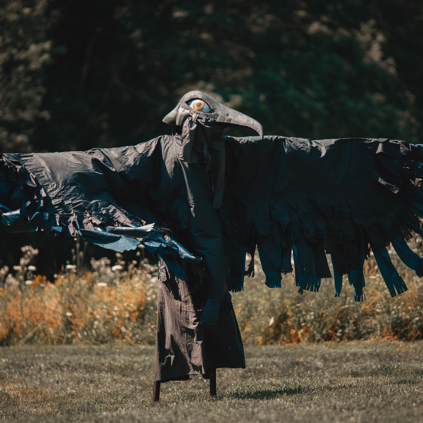 stilted perfomer as raven