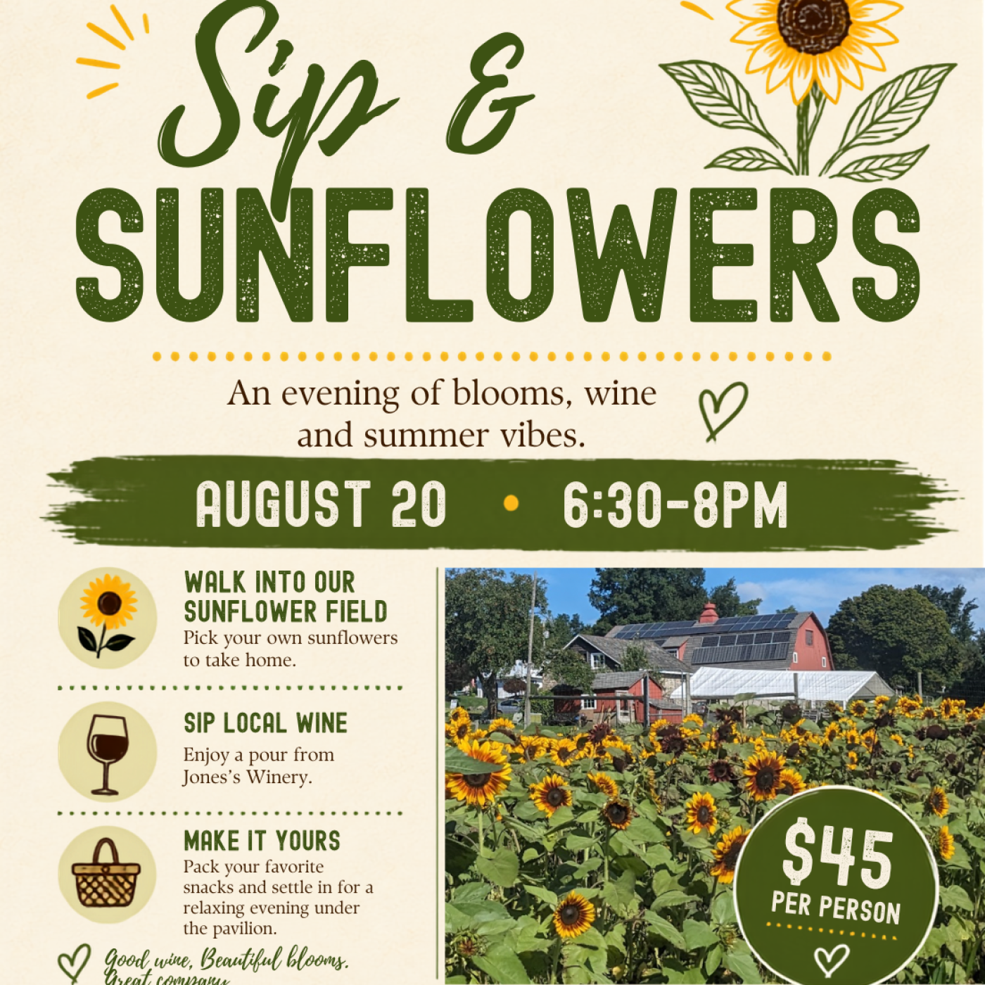 Sip and Sunflowers at Massaro Community Farm