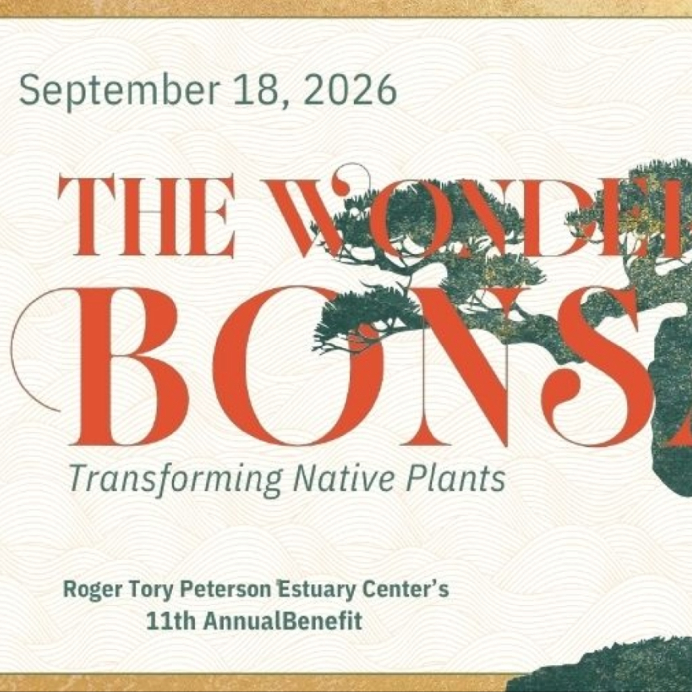 The Wonder of Bonsai: Transforming Native Plants