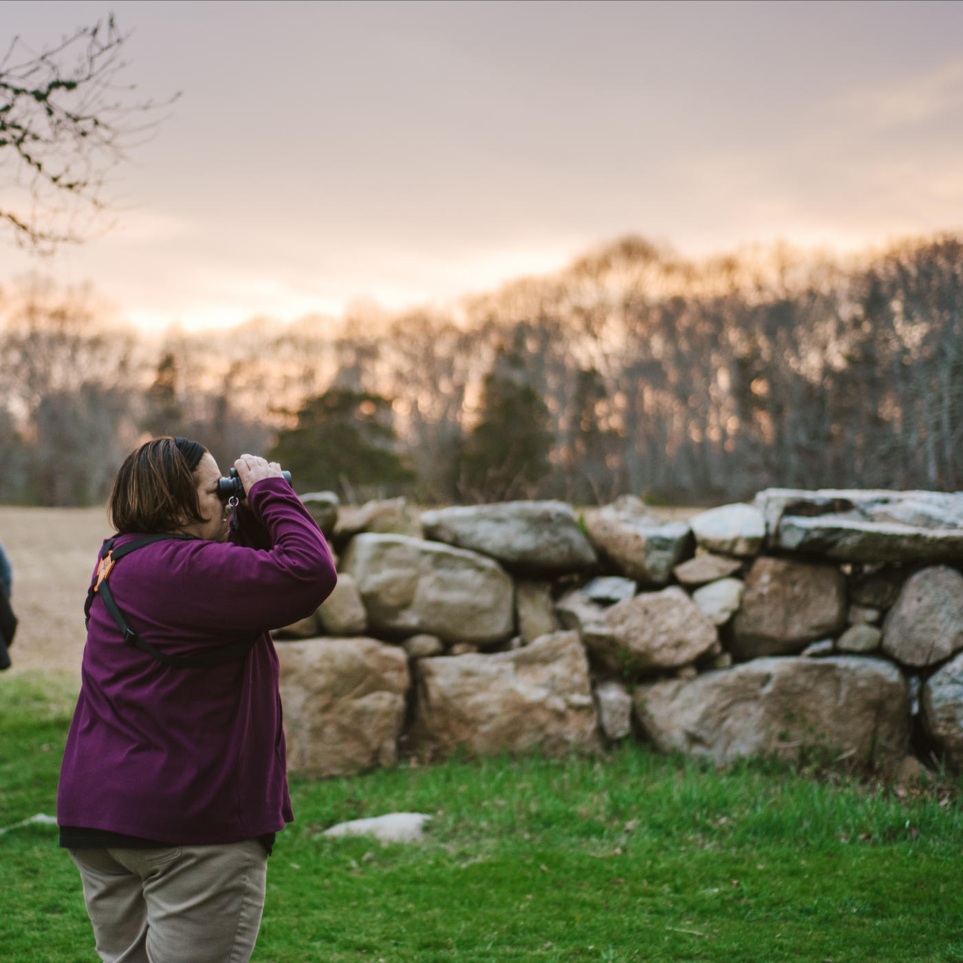 A birder looks across Haley Farm in search of birds!