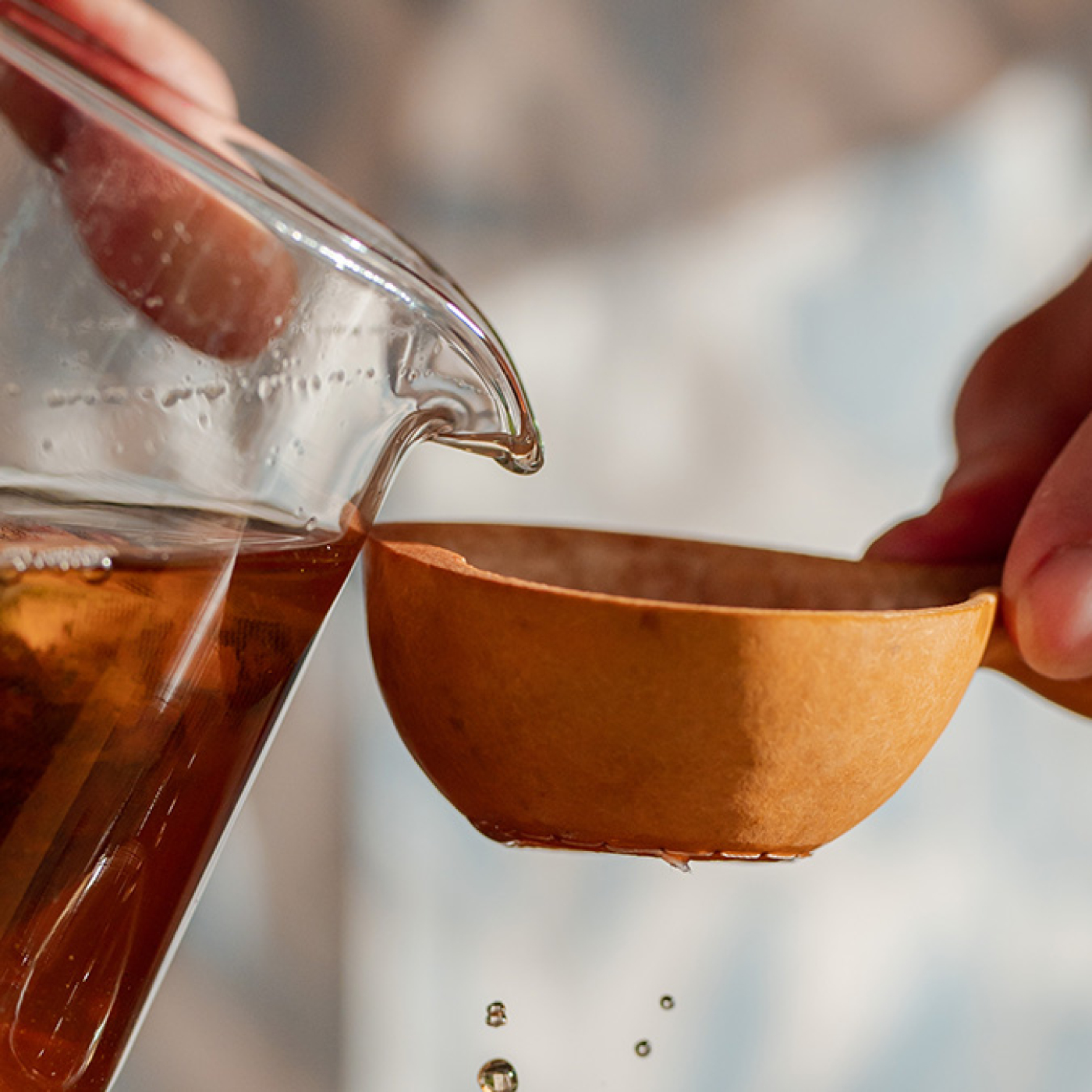 Journey into the World of Tea