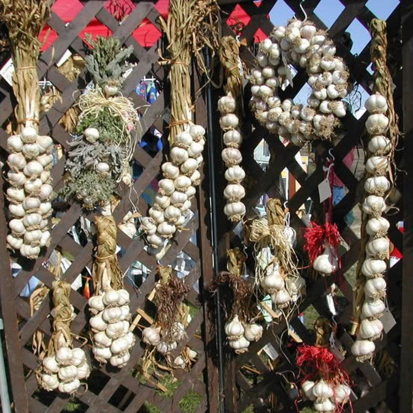 Bethlehem Garlic and Harvest Festival