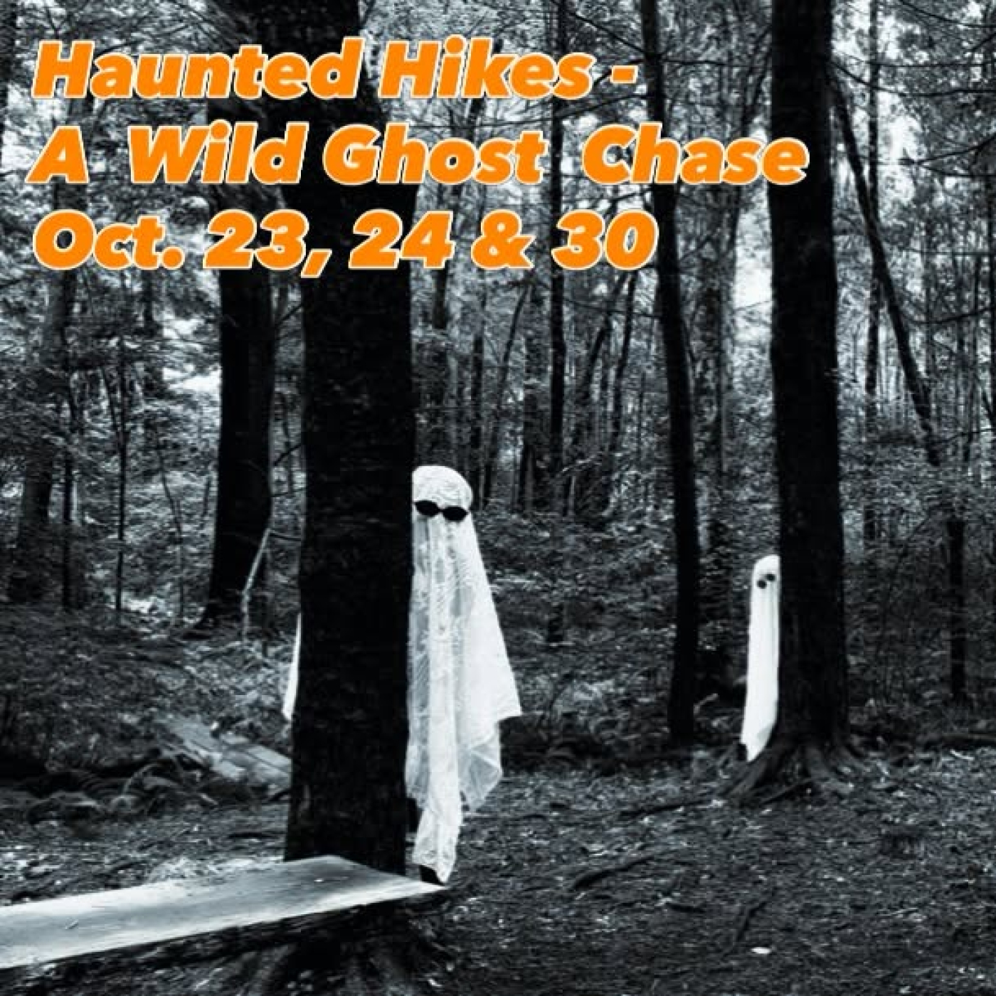 Haunted Hikes at Flanders Nature Center,
