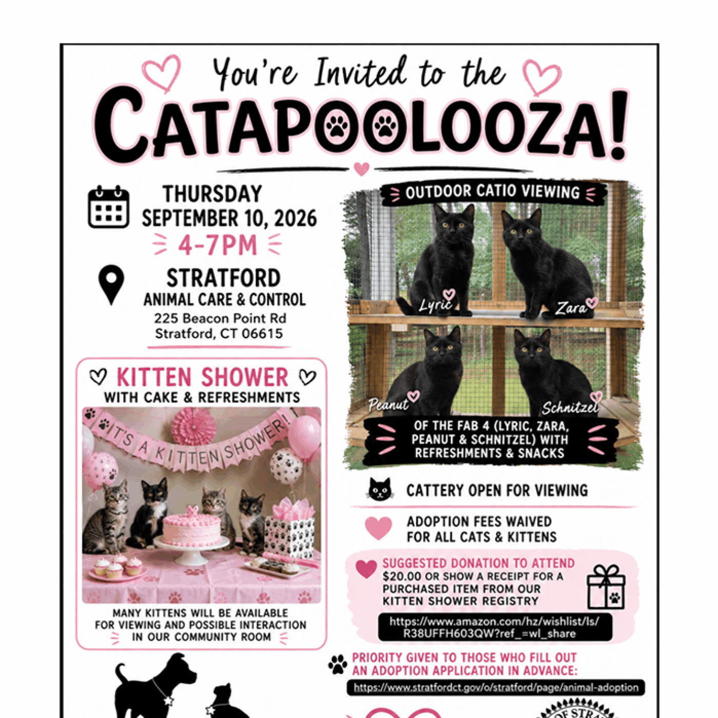 CATAPOOLOOZA