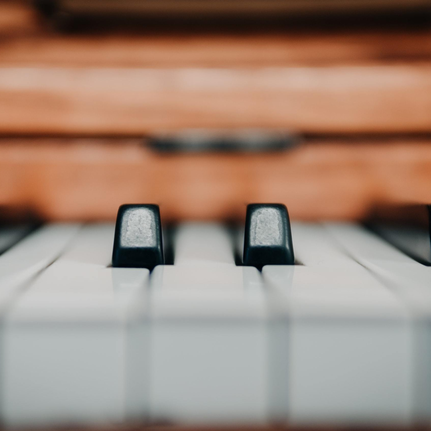 Fryderyk Chopin Society of Connecticut | Inesa Sinkevych