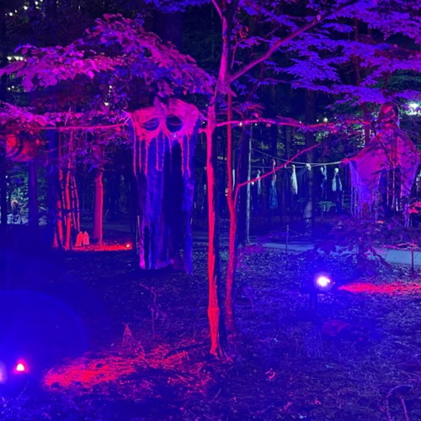 Join us for ziplining and climbing to your favorite Halloween music, glowing lights and a fa-BOO-lous time!