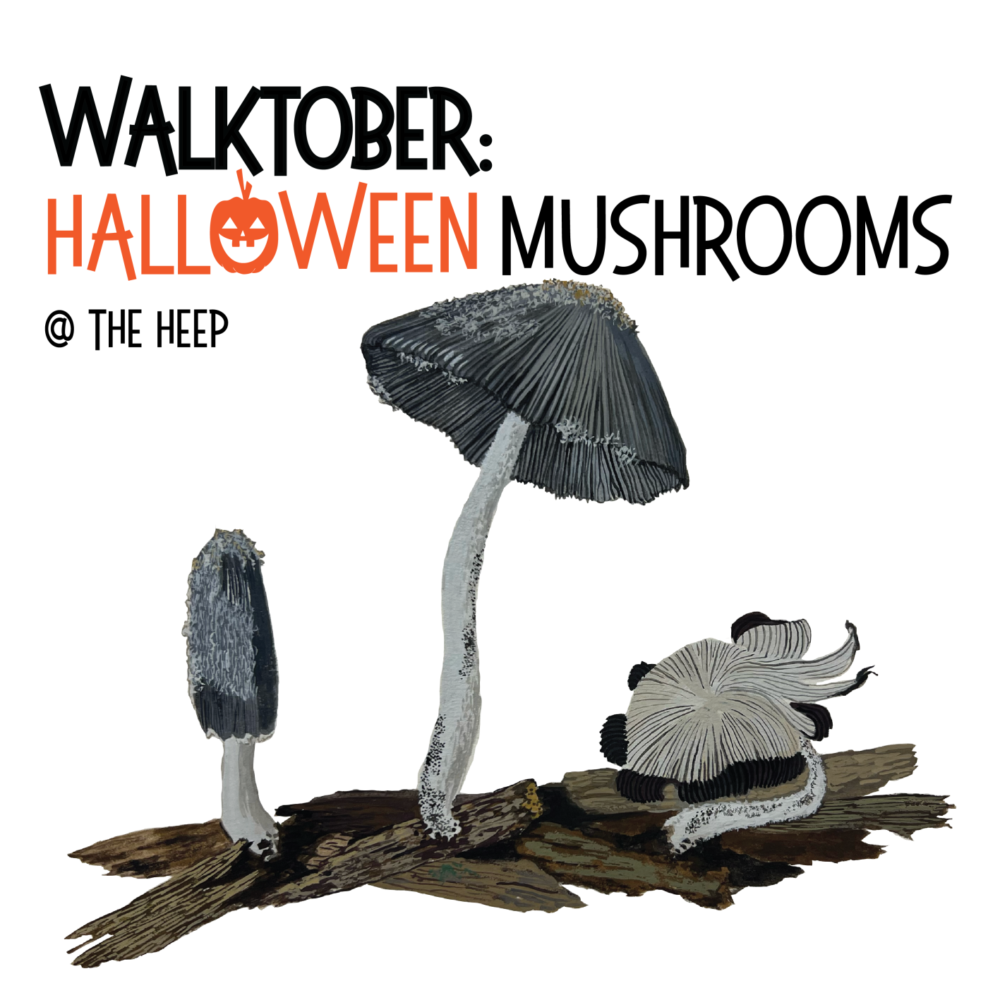 illustration of mushrooms
