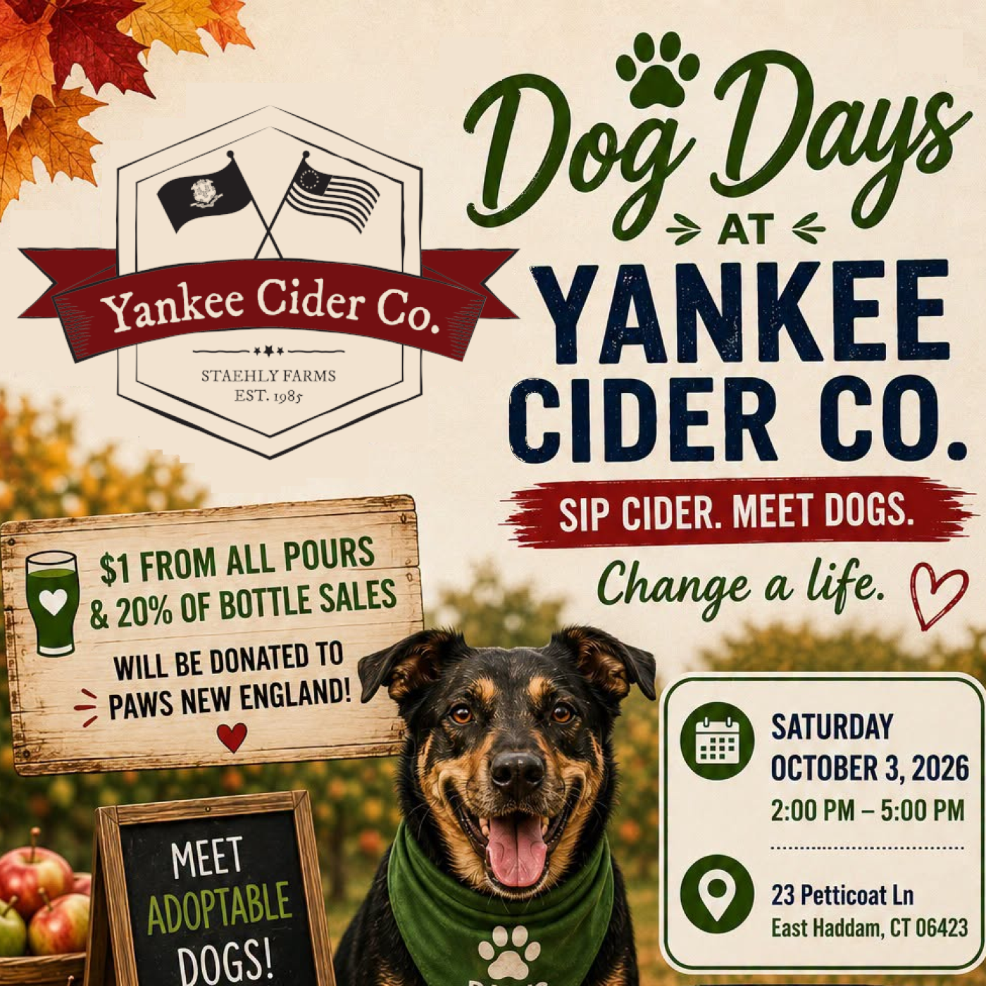 A dog with the company logo and the details of the event
