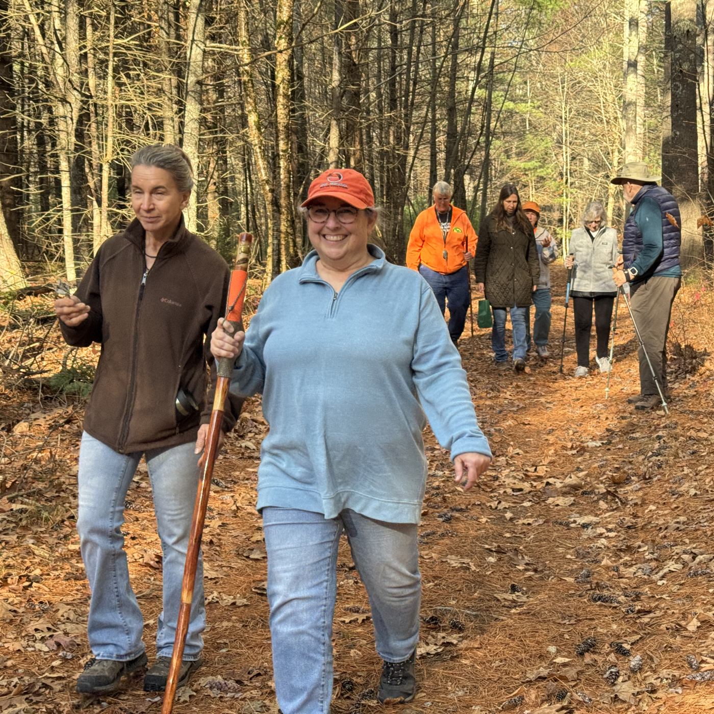 People hiking in woods