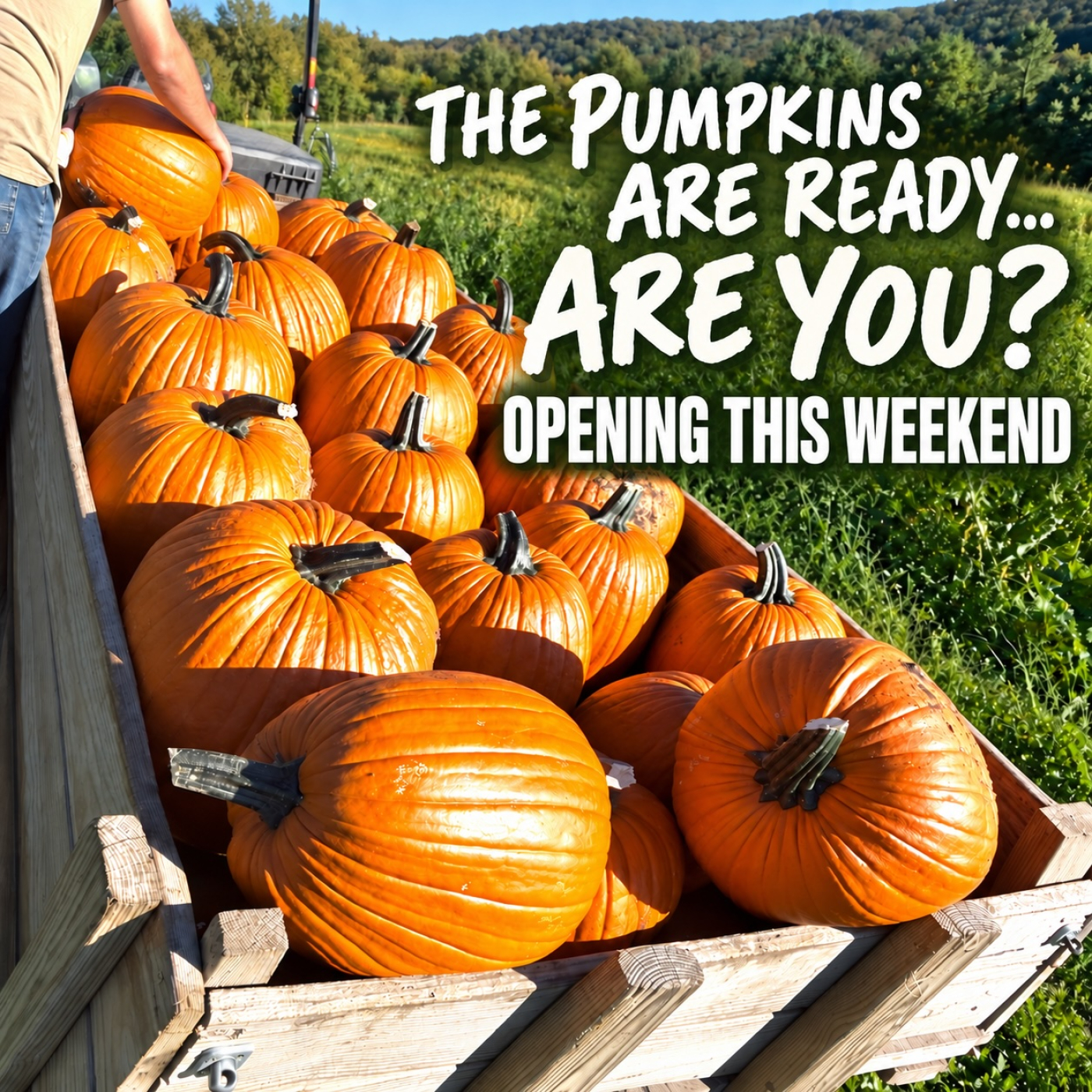 Fall Preview Weekend Graphic