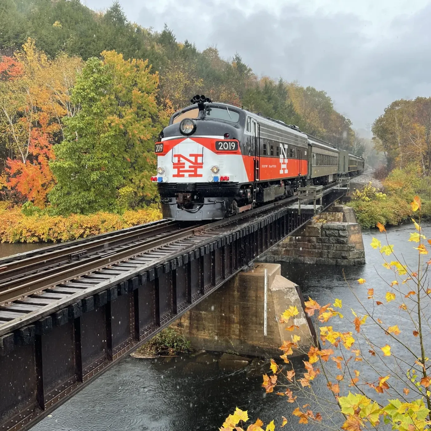 Tequila Train