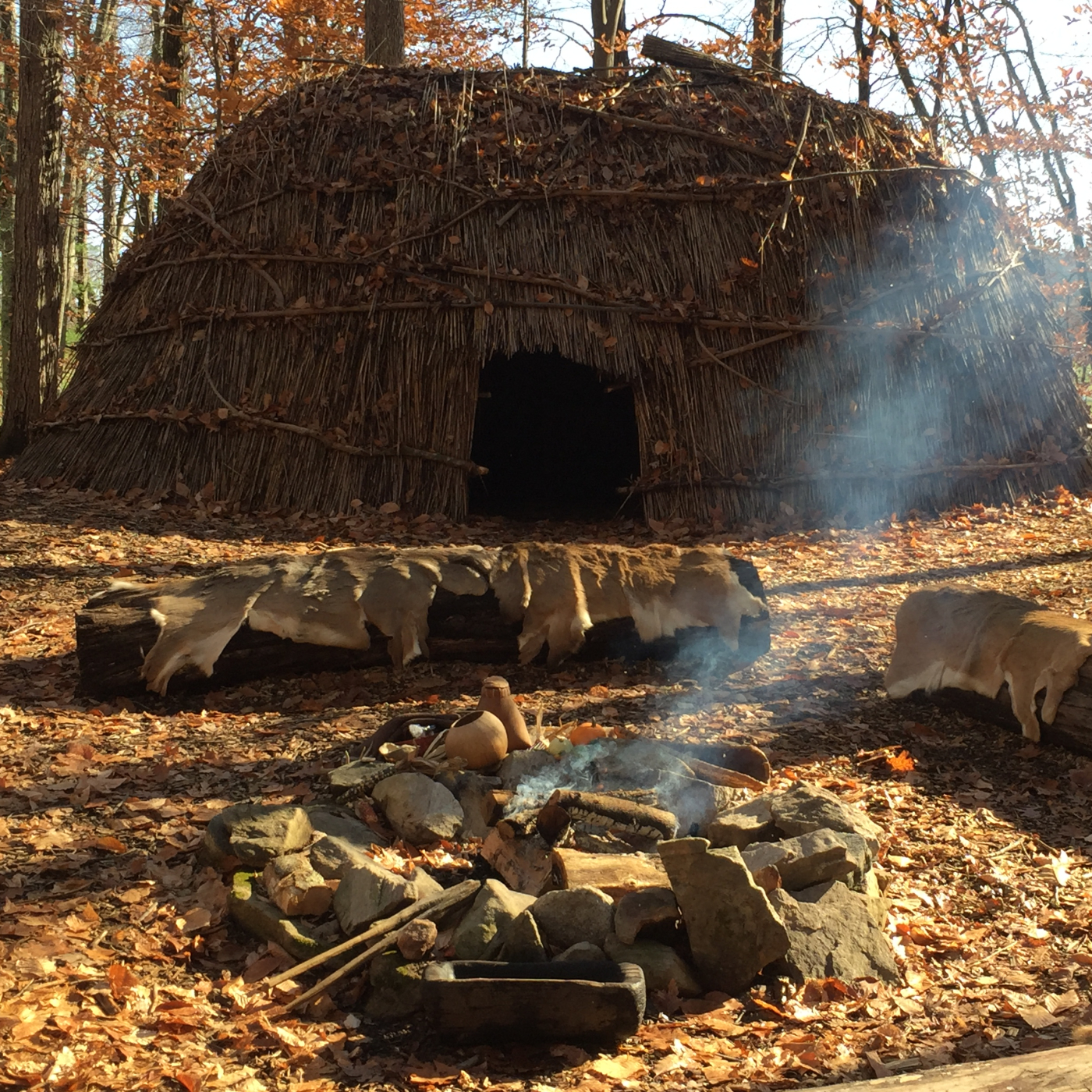 Reproduction thatched Longhouse with fire ring in foreground
