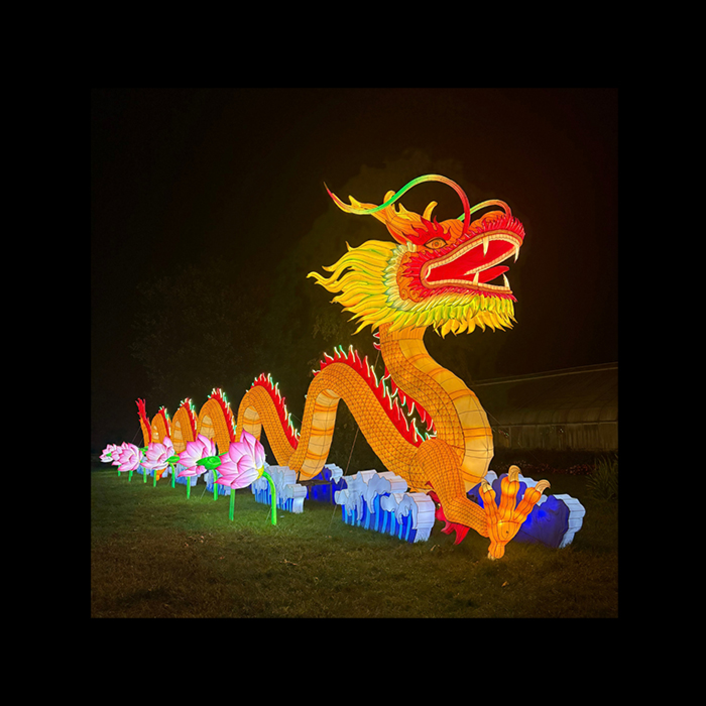 Glow Wild 2026 Dragon Lantern at Beardsley Zoo